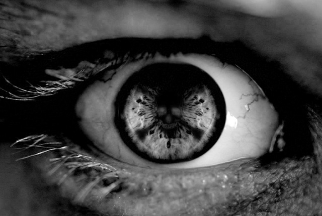 surveillance-voisins-local-pays-bas-640px-3